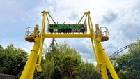Wish List: Dinosaurs, designers and fab family festivals get the summer started 