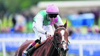 Dante Festival 2026 - Day Two - York Racecourse