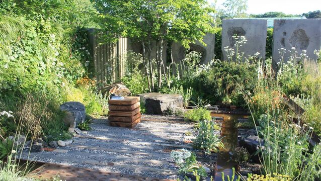 <p>The garden designed by Joe Eustace at Bord Bia Bloom for the Mental Health Commission. Picture: Frazer McDonogh</p>