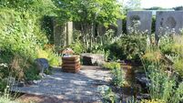 Garden Digest: Events to help you to enjoy your green spaces 