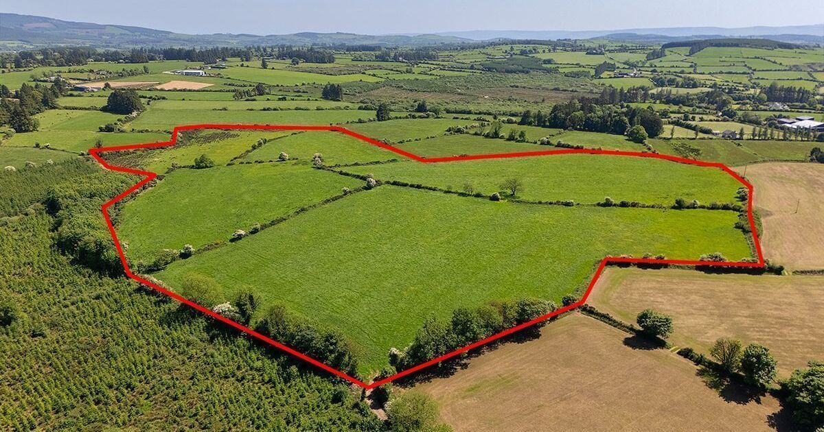 40ac West Waterford farm guiding €12,000/ac