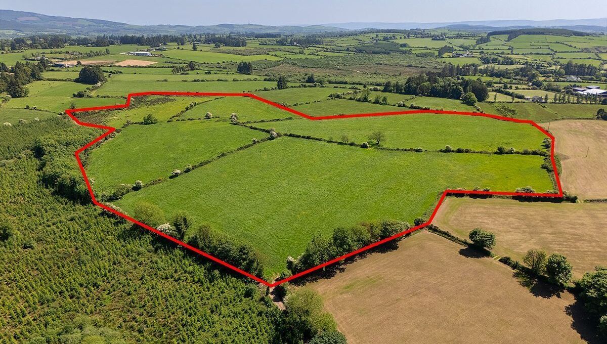 40ac West Waterford farm guiding €12,000/ac