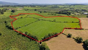 <p>The holding is at Touraneena, about 20km north of Dungarvan and 25km from Clonmel.</p>