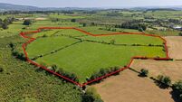 40ac West Waterford farm guiding €12,000/ac