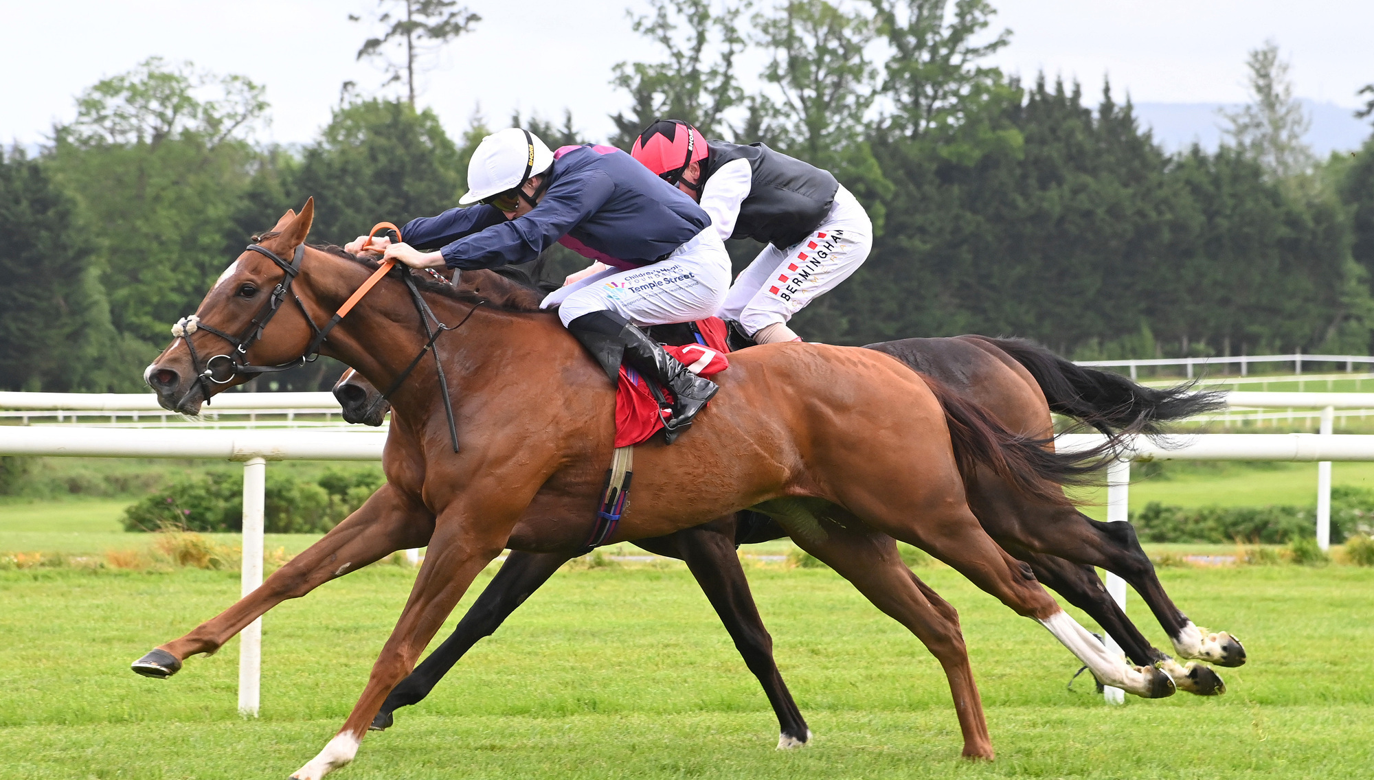 Fleur De Provence could prove a tough nut to crack after step up in trip
