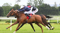 Fleur De Provence could prove a tough nut to crack after step up in trip