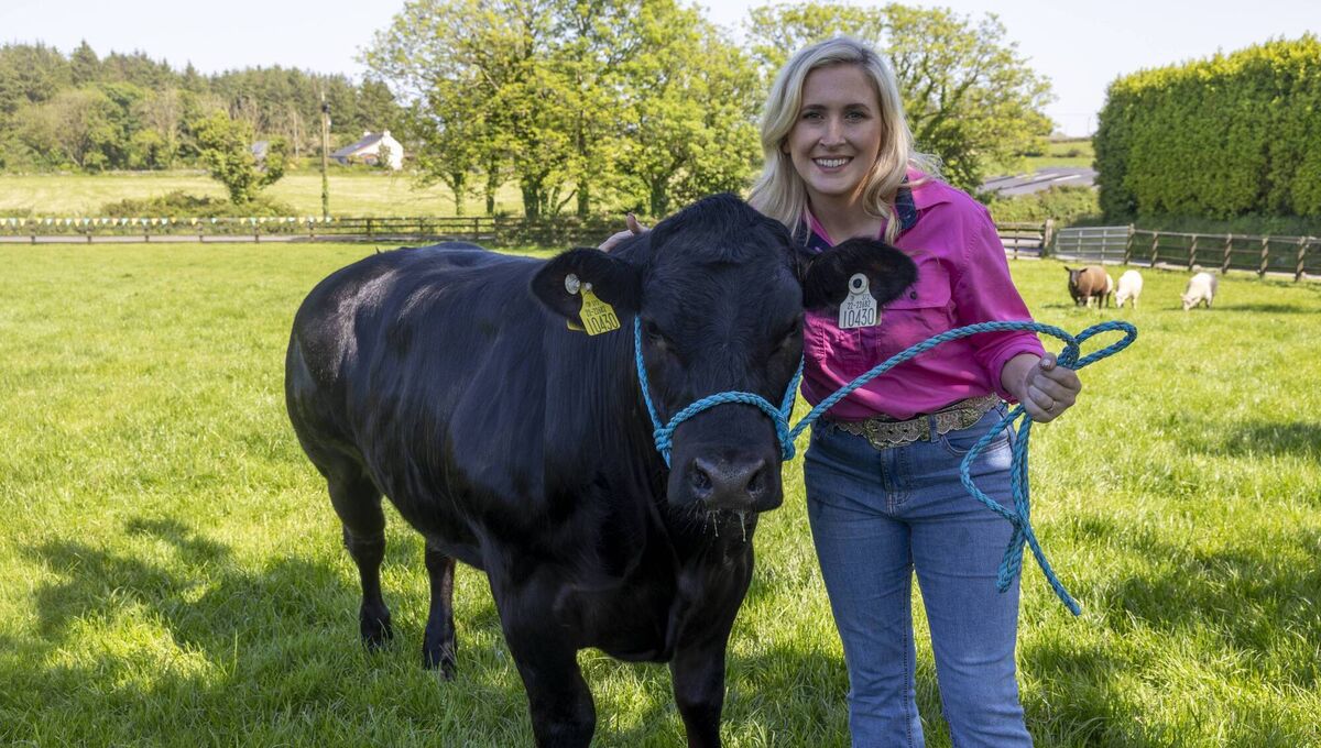 Katie Shanahan and Black Betty ahead of the Cork Summer Show. Katie Shanahan and Black Betty ahead of the Cork Summer Show.