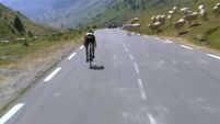 WATCH: Cyclist forced to swerve around herd of cows during Tour de France