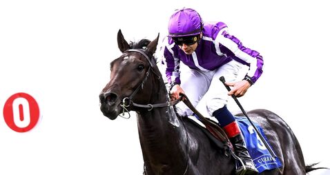 Ronan Whelan onboard Hawk Mountain comes home to win 27/9/2025