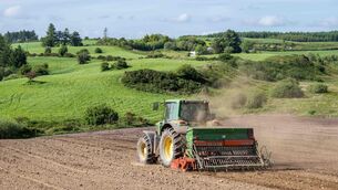 <p>"Reducing greenhouse gas emissions requires people to act together and to trust that others are willing to play their part, too," said Lucie Martin, lead author of the study and Research Officer at the ESRI. Picture: Andy Gibson.</p>