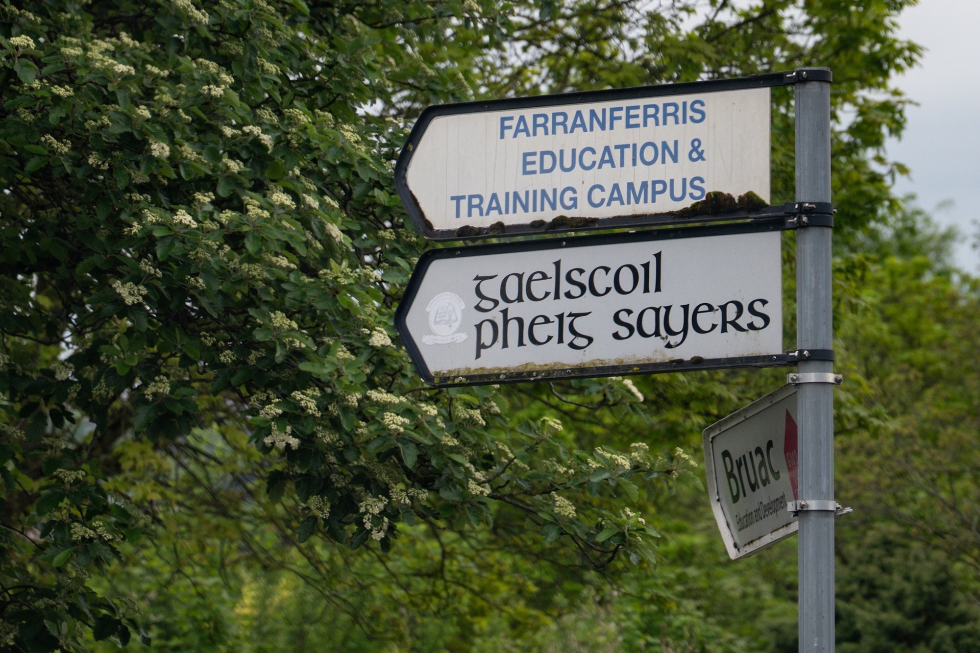 Cork school's mass withdrawal of students left them 'confused and distressed', parents say