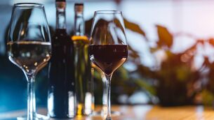 <p>Though French beer consumption has overtaken that of wine, the good stuff will still get made Picture: iStock</p>