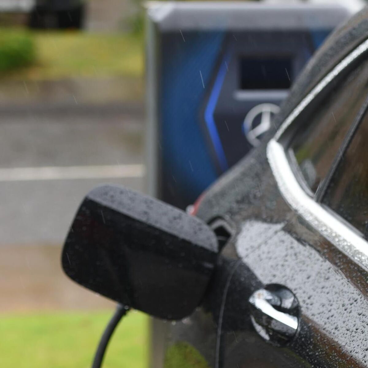 irishexaminer.com - Shane O'Donoghue - So many EVs, so little certainty: Which electric car should you buy?