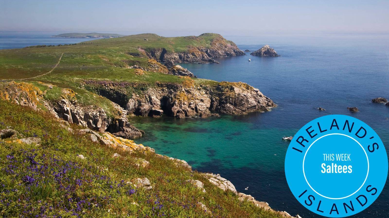 Ireland's islands uncovered: Why the Saltee Islands are one of Ireland’s best wildlife experiences