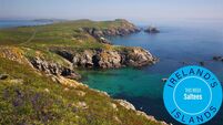 Ireland's islands uncovered: Why the Saltee Islands are one of Ireland’s best wildlife experiences