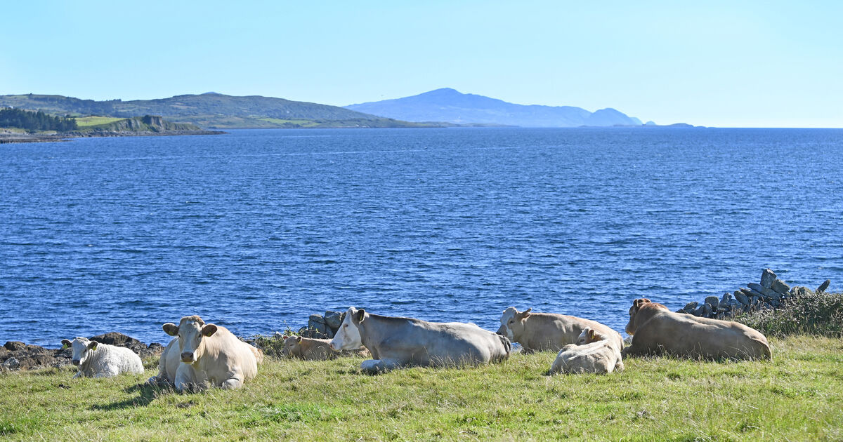 Climate change drove Ireland's record-breaking May temperatures, study finds