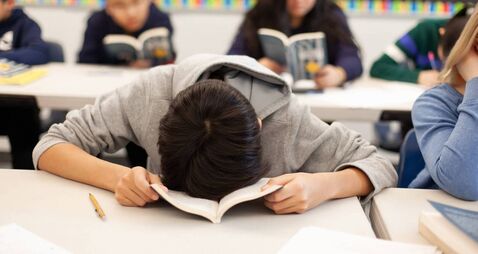 Denis Lehane: Relax, it's only the Leaving Cert