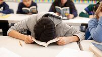 Denis Lehane: Relax, it's only the Leaving Cert