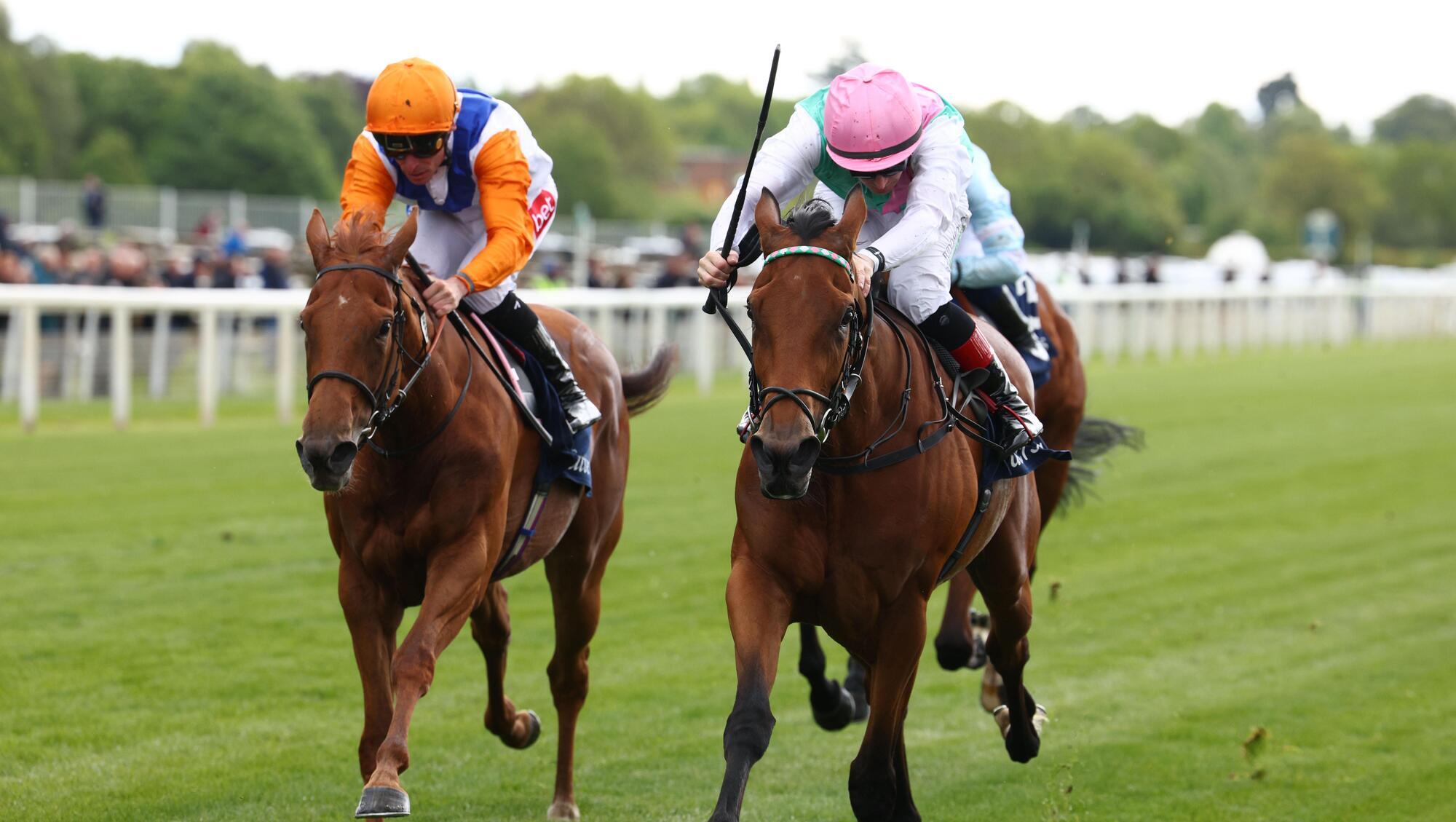 Legacy Link primed to upset Ballydoyle filly Amelia Earhart at Epsom Oaks
