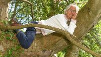 I tried forest bathing for the first time in Waterford — here are the health benefits