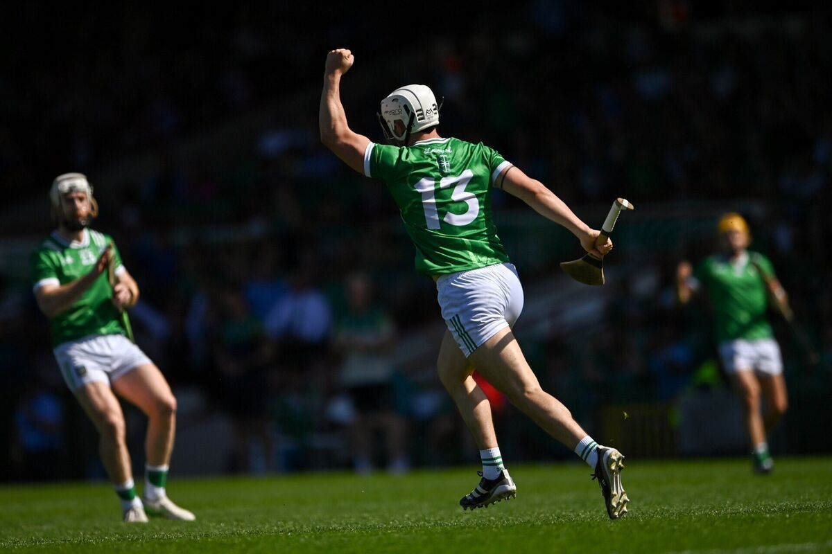 Gillane celebrates after bagging Limerick's first goal against Tipperary. Picture: Tom Beary/Sportsfile
