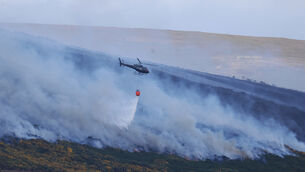 <p>Multiple fire tenders and helicopters to provide water drops were utilised in the efforts to contain and extinguish the blaze.</p>