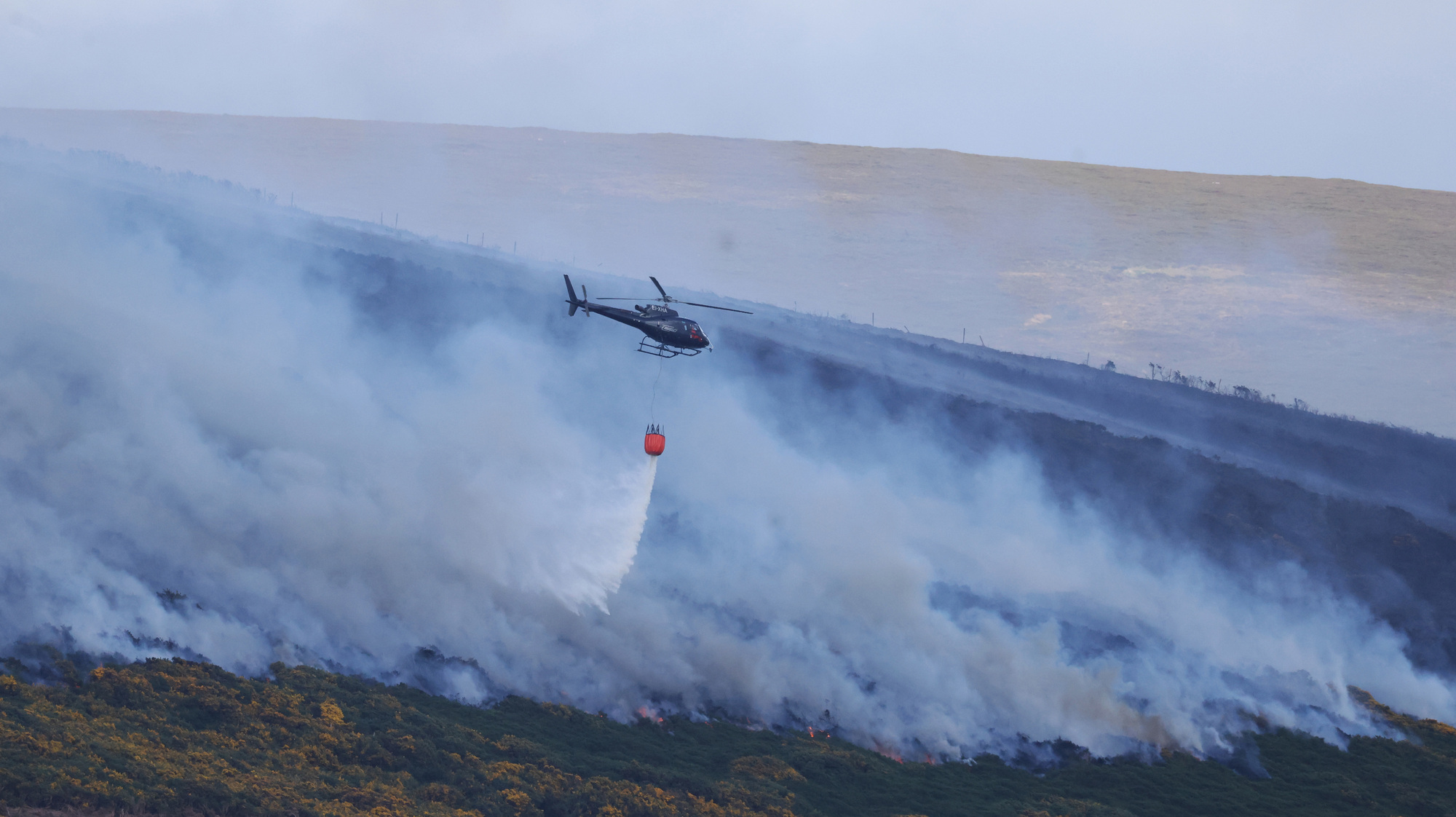 '50 times the size of Croke Park': Illegal fire destroys habitats in Wicklow Mountains