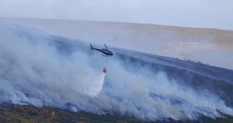 '50 times the size of Croke Park': Illegal fire destroys habitats in Wicklow Mountains