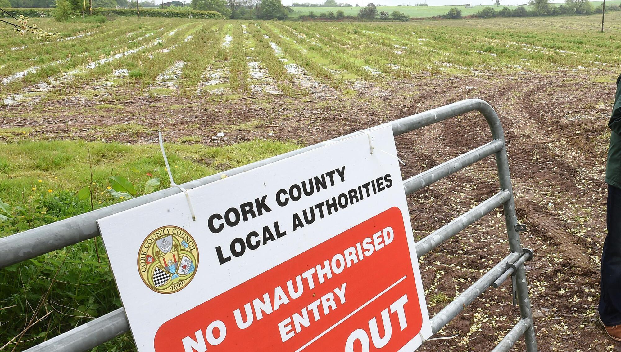 Cork council seeks ‘expressions of interest’ for land once earmarked for FAI ‘Centre of Excellence’