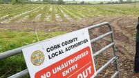 Cork council seeks ‘expressions of interest’ for land once earmarked for FAI ‘Centre of Excellence’