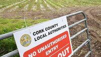 Children as young as 12 in Cork have been sexually assaulted by other children