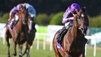 Endorsement gallops to wide-margin victory over Amadeus Mozart in King George V Cup