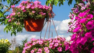 <p>The run of good weather late in May drove a big jump in spending at florists, up almost 62%</p>