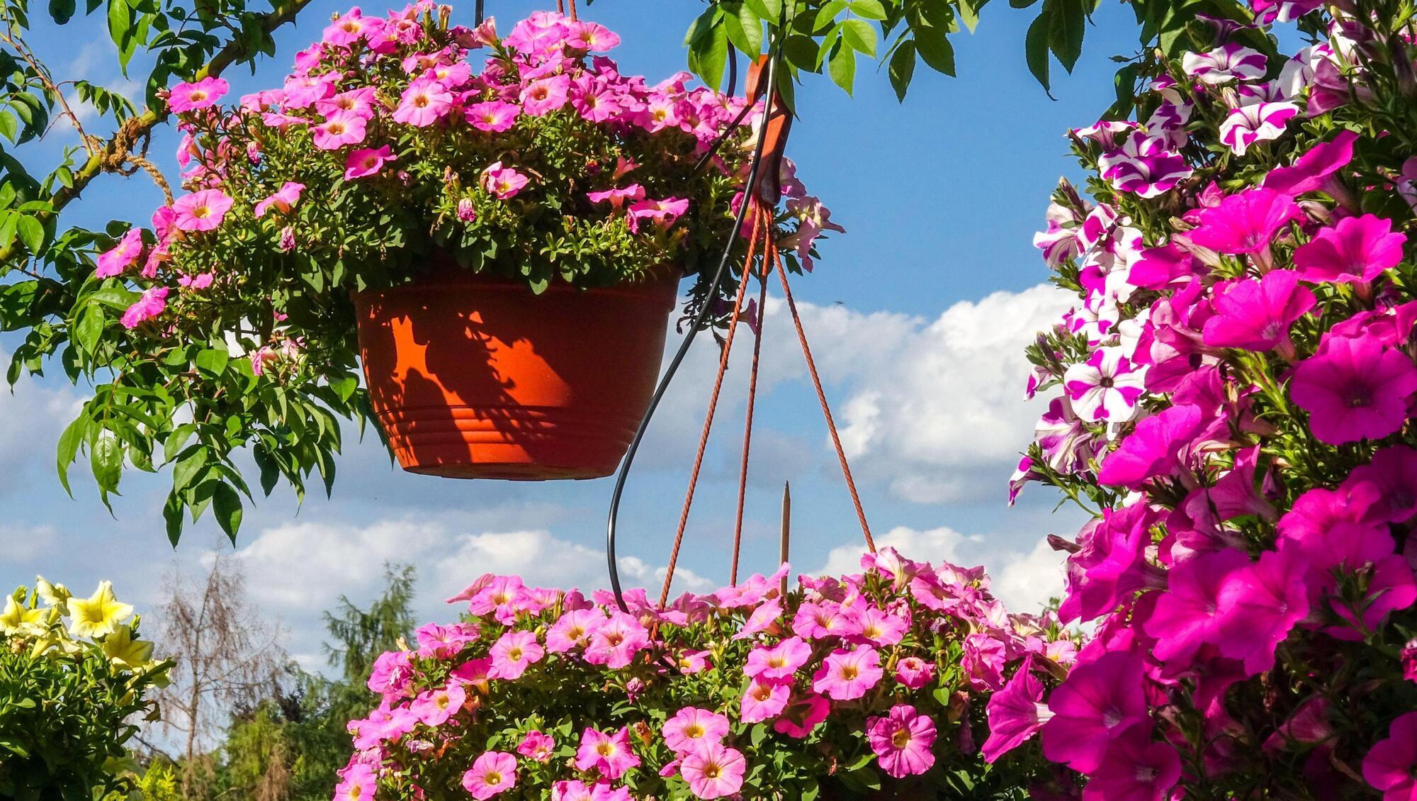 Good weather fuels spending on flowers and landscaping while total monthly payments fall