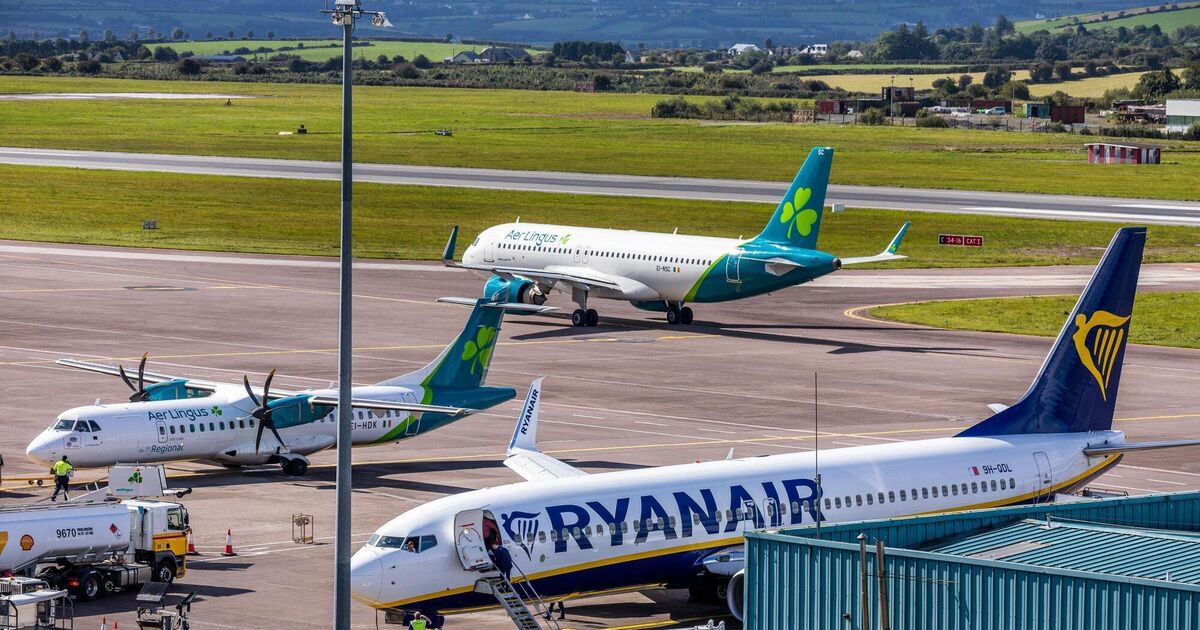 Aviation watchdog recovers €1.1m for passengers as Aer Lingus and Ryanair top complaints list