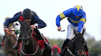 Working Class Hero can strike at Punchestown