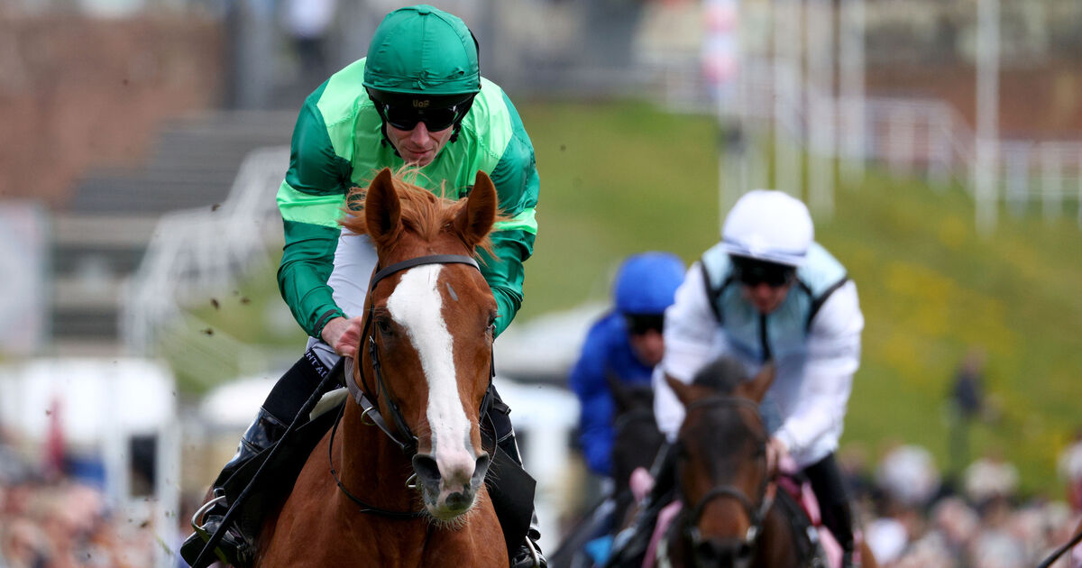Ruby Walsh: James J Braddock the biggest threat to Benvenuto Cellini in Derby