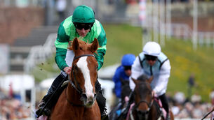 <p>Benvenuto Cellini and Ryan Moore win for trainer Aidan O'Brien. Pic: Healy Racing</p> <p>Benvenuto Cellini and Ryan Moore win for trainer Aidan O'Brien. Pic: Healy Racing</p>