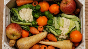 <p>'We are raising a generation of children who can recognise a fast-food logo before they can identify how a carrot grows,' says GIY founder Mick Kelly. </p>