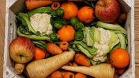 Fruit and Vegetables stock images