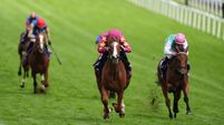 The Betfred Derby Festival - Ladies Day - Epsom Downs Racecourse