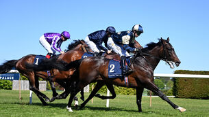 <p>CLASSIC CONTENDERS: James J Braddock gets up late to thwart Pierre Bonnard in the Group 3 Derby Trial Stakes at Leopardstown last month. The classy pair may fight out the finish at Epsom today. Picture: Healy Racing</p>
