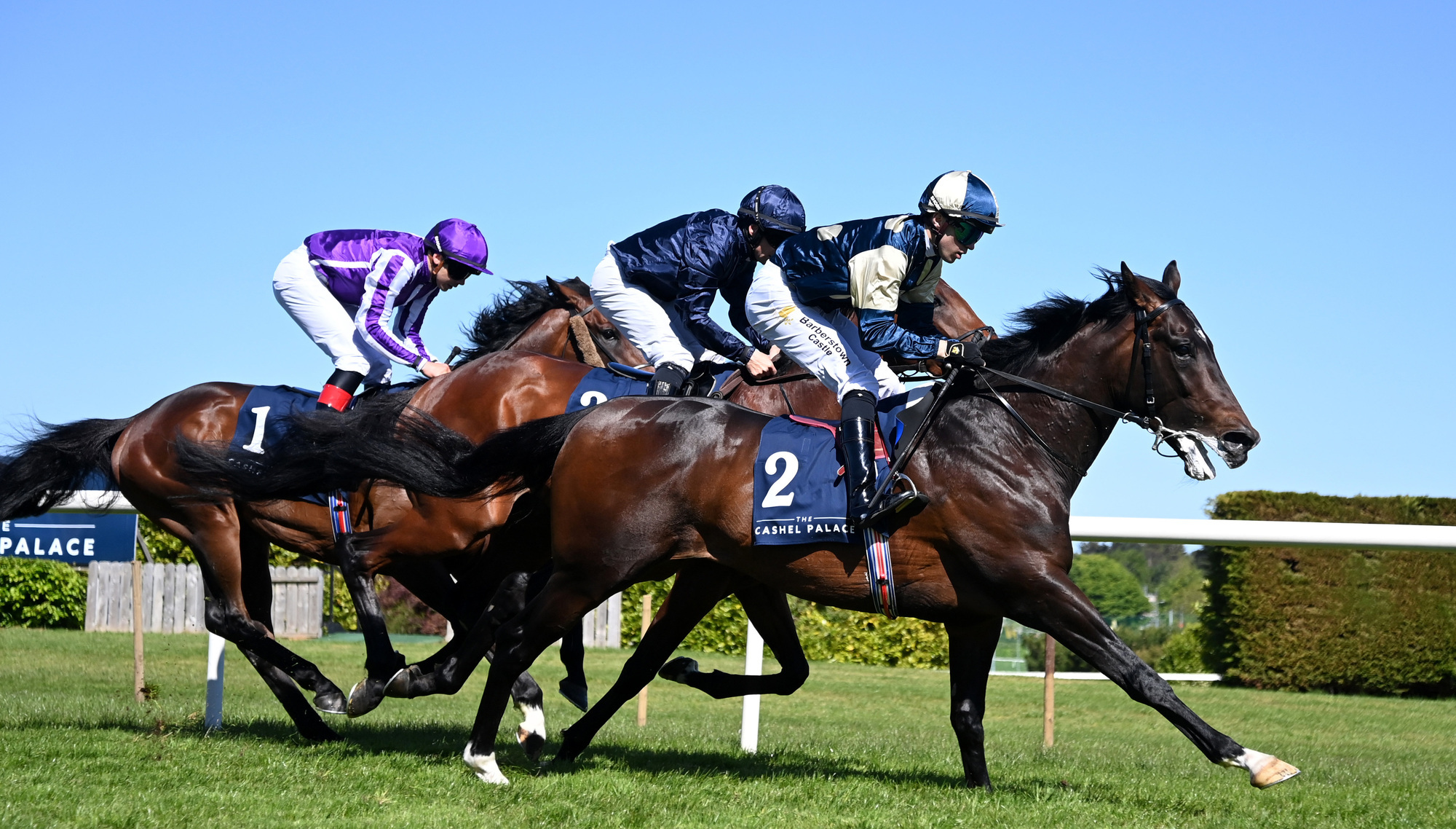 Colm Greaves on the Epsom Derby: Box clever with Braddock