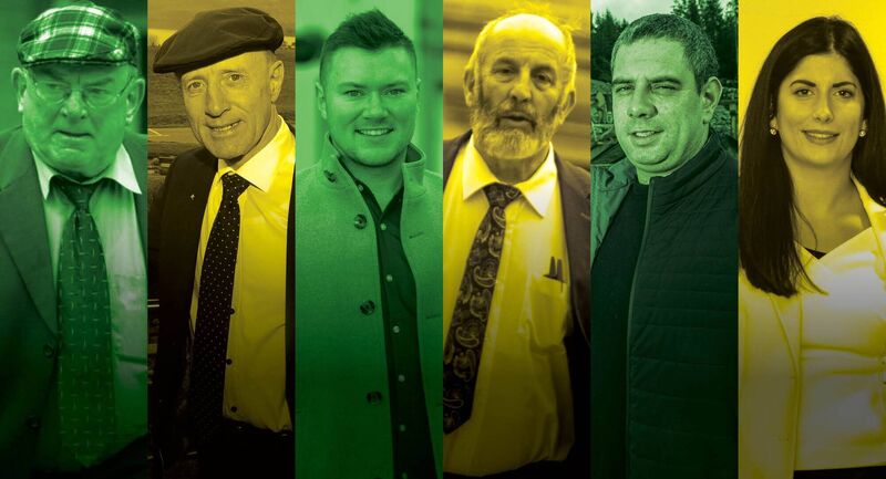Kerry's Healy-Rae political dynasty. 