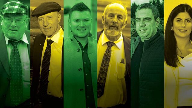 <p>Kerry's Healy-Rae political dynasty. Picture: Irish Examiner Graphics </p>