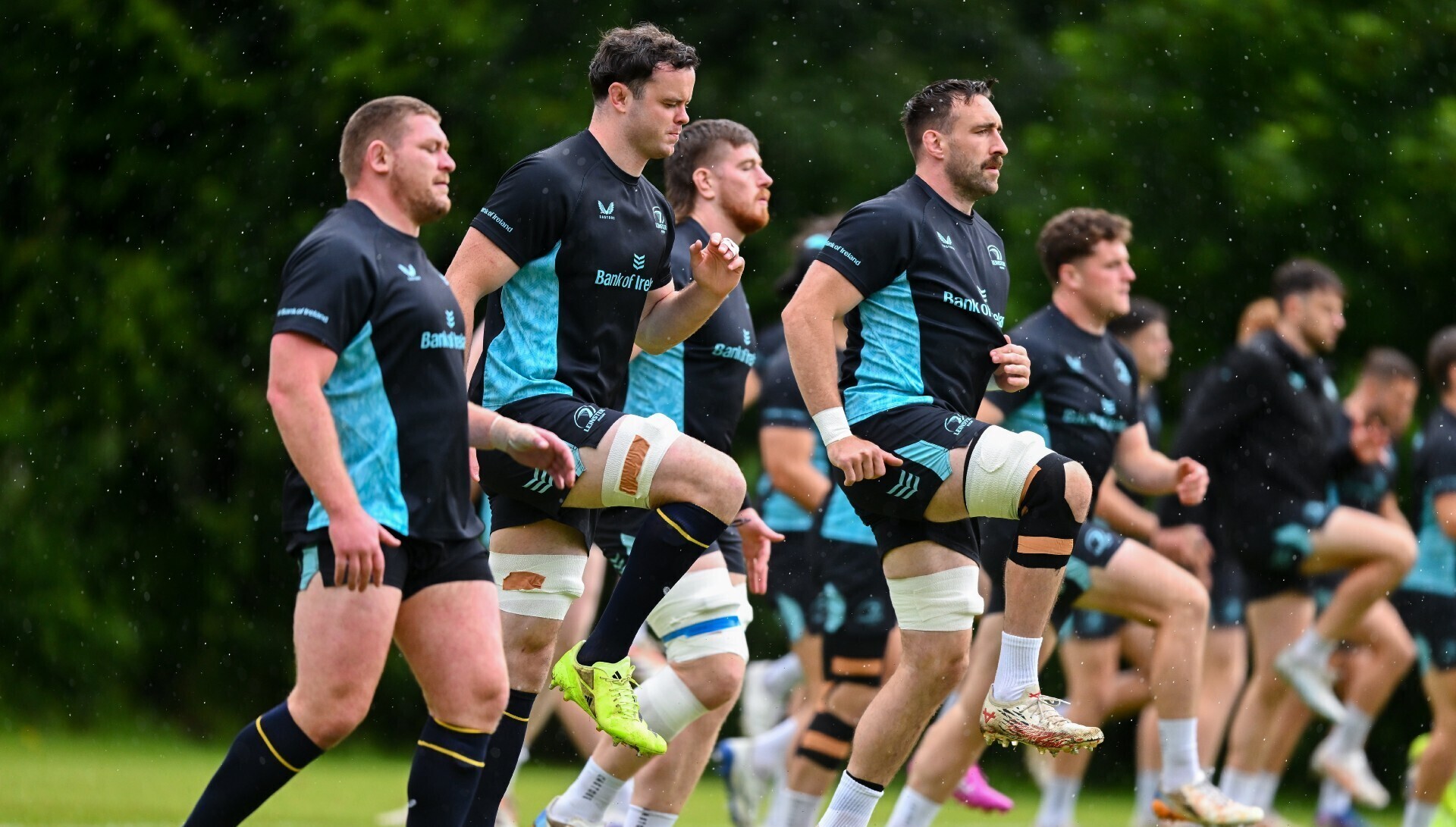 Leinster need restorative rays of sunshine