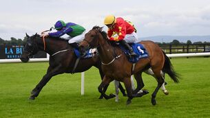 <p>Tango Flare and Luke McAteer (left) win for trainer Pat Foley from Gazelle D'or (right) and Little Queenie. Pic: Healy Racing</p>