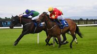 Tango Flare delivers once more with latest Fairyhouse win 