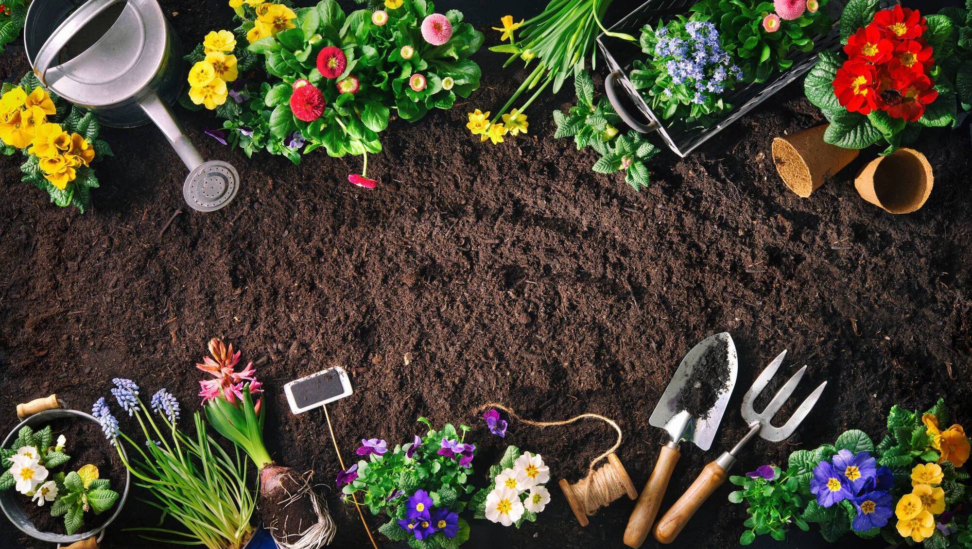 Garden Digest: Events to help you boost the room outside
