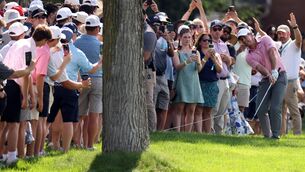 <p>TREE TROUBLE: Rory McIlroy plays his second on 13 at the Memorial Tournament Friday at Muirfield Village. Pic: Mike Mulholland/Getty Images</p>